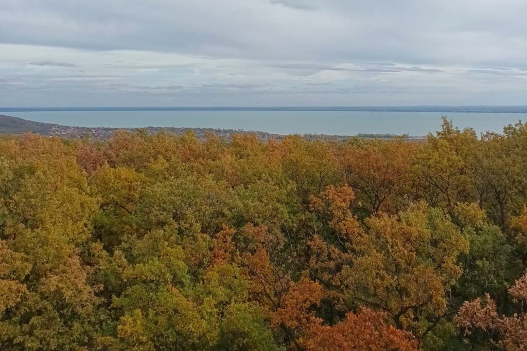 Csákány-hegy: panorámás magaslat Csopak felett