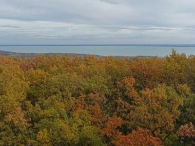 Csákány-hegy: panorámás magaslat Csopak felett