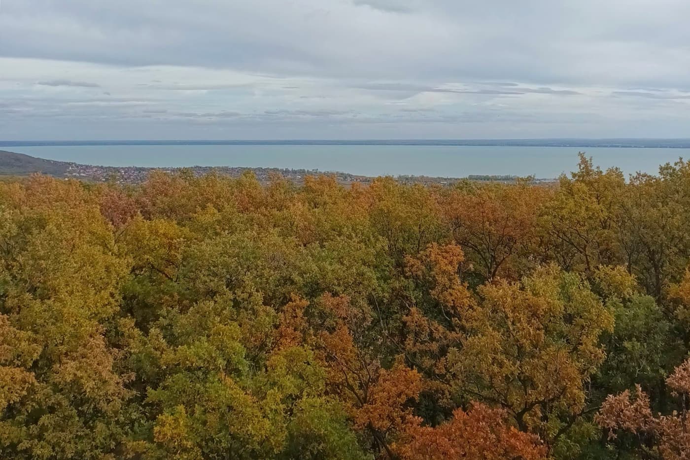 Csákány-hegy: panorámás magaslat Csopak felett