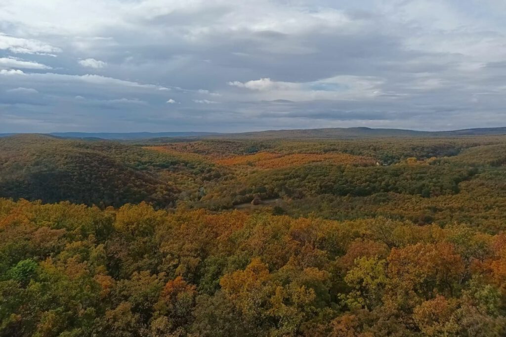 Csákány-hegy: panorámás magaslat Csopak felett