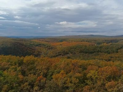 Csákány-hegy: panorámás magaslat Csopak felett