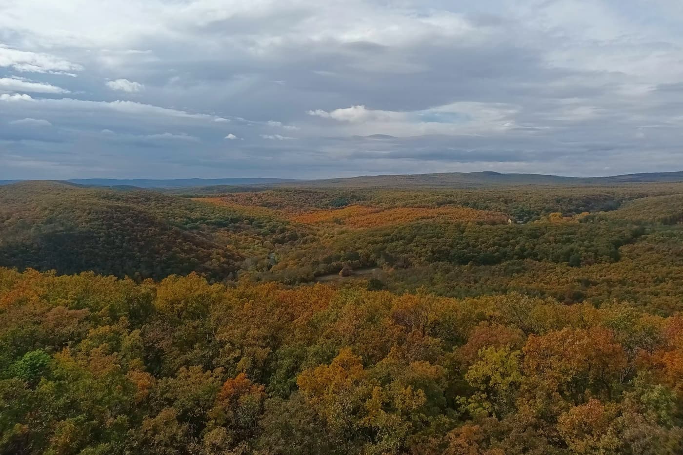 Csákány-hegy: panorámás magaslat Csopak felett