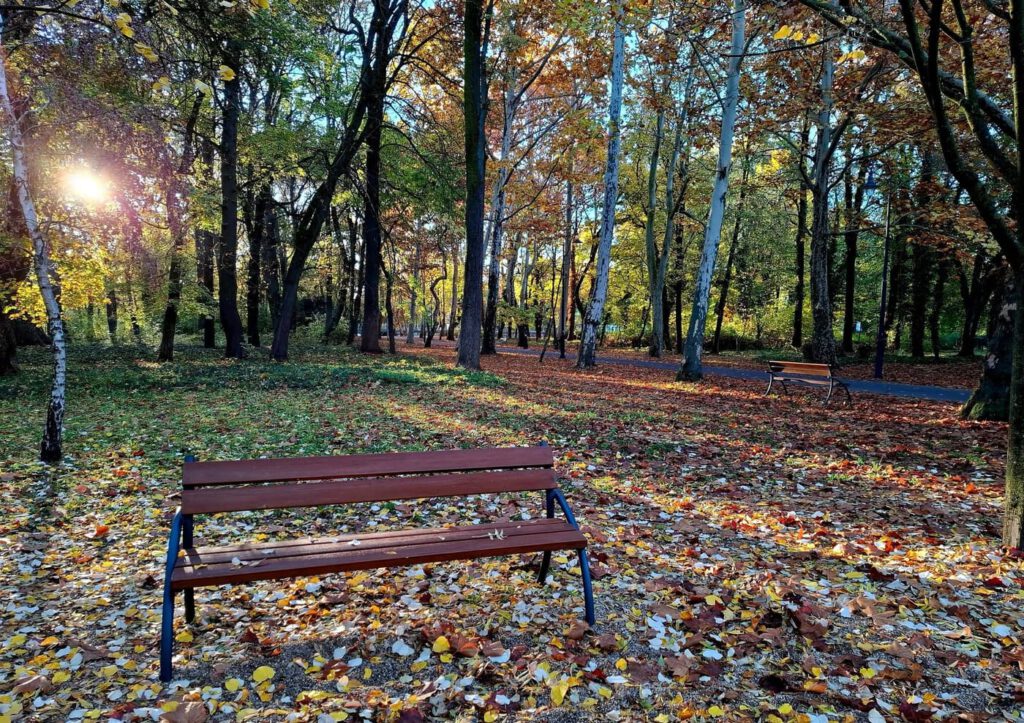 Színesre festette az ősz a Keszthelyi Helikon parkot