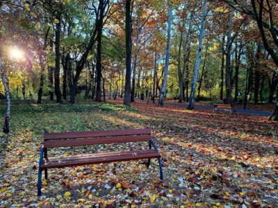 Színesre festette az ősz a Keszthelyi Helikon parkot