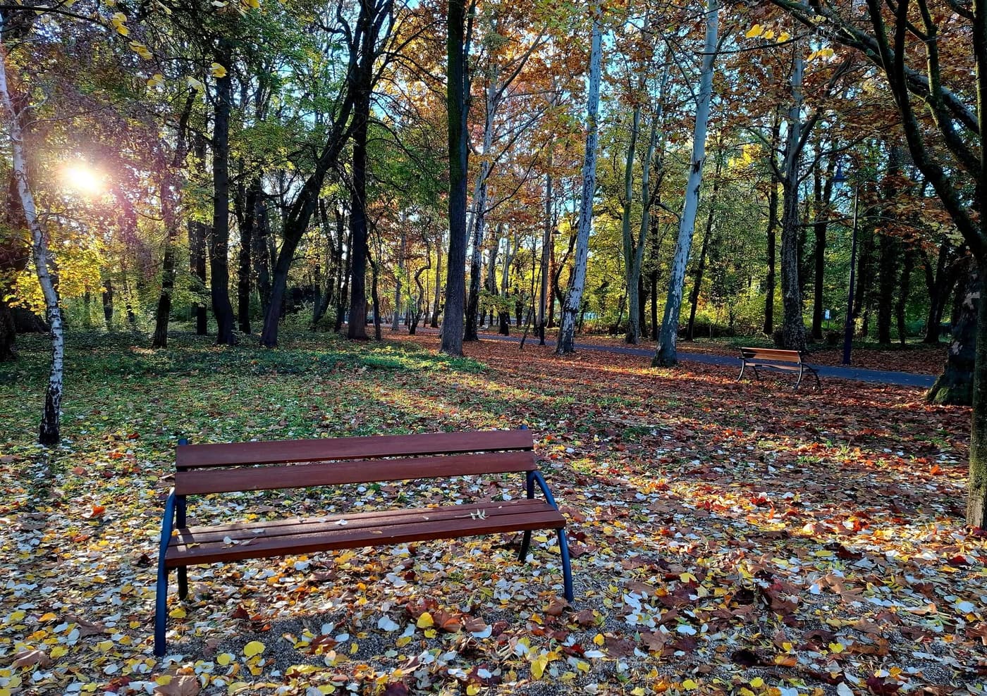 Színesre festette az ősz a Keszthelyi Helikon parkot