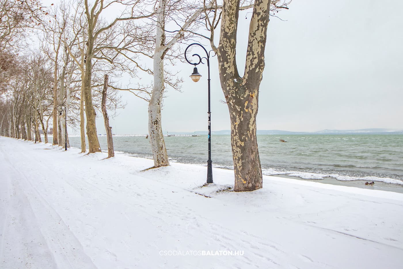 Téli Balaton: havas tájak, csendes séták, panorámák