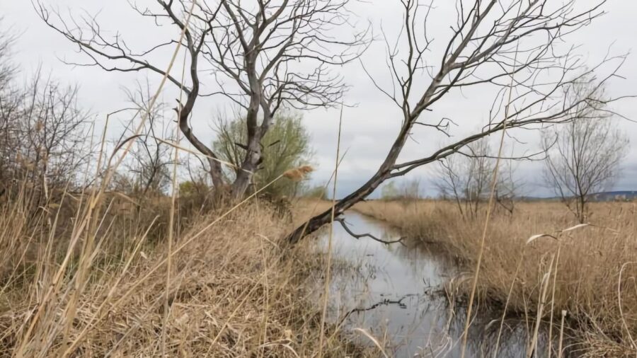 A Balaton-felvidéki Nemzeti Park része lett a dél-balatoni Nagyberek