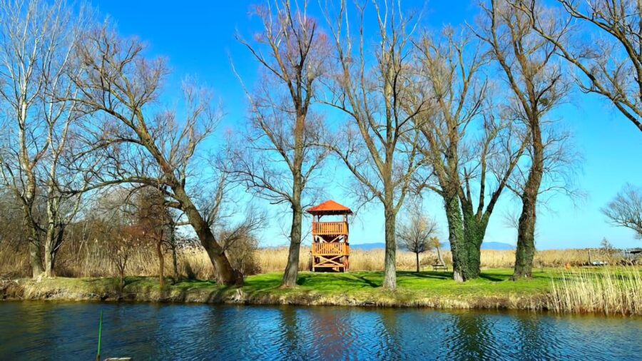 Kora tavaszi természetélmény a Balaton délnyugati csücskén: Csicsergő-sziget, Balatonberény
