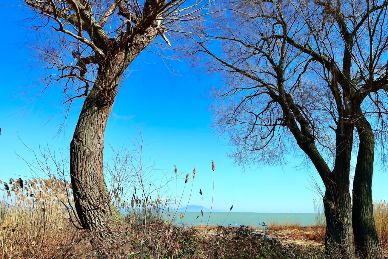 Kora tavaszi természetélmény a Balaton délnyugati csücskén: Csicsergő-sziget, Balatonberény