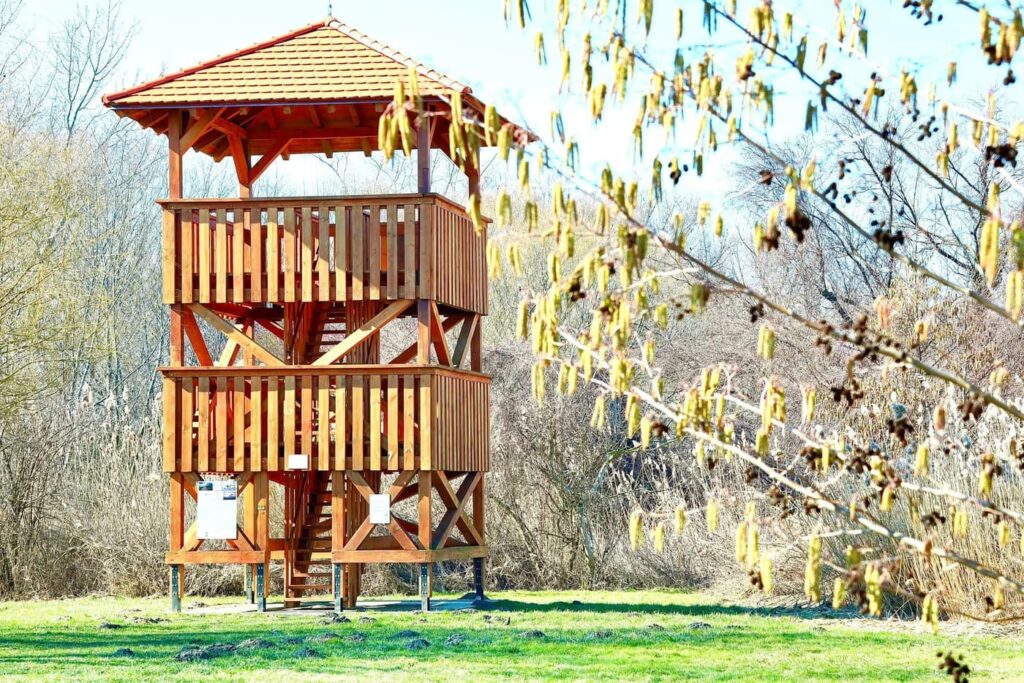 Kora tavaszi természetélmény a Balaton délnyugati csücskén: Csicsergő-sziget, Balatonberény