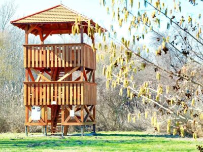 Kora tavaszi természetélmény a Balaton délnyugati csücskén: Csicsergő-sziget, Balatonberény