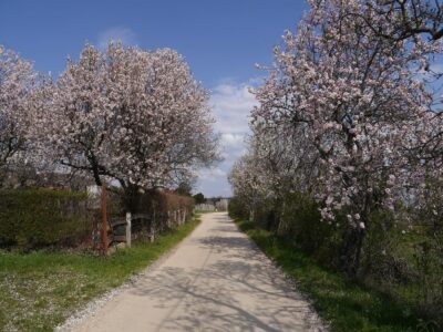 Paloznak tavasszal – egy hangulatos falu, amelyet könnyű megszeretni