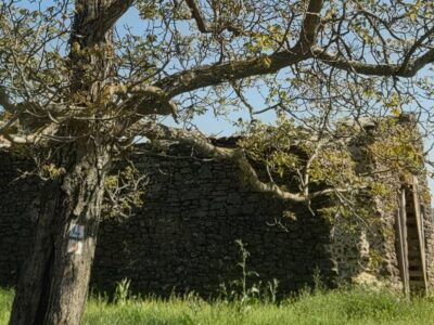 Töttöskáli templomrom – középkori emlék Szentbékkálla határában