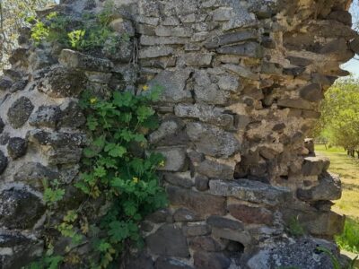 Töttöskáli templomrom – középkori emlék Szentbékkálla határában
