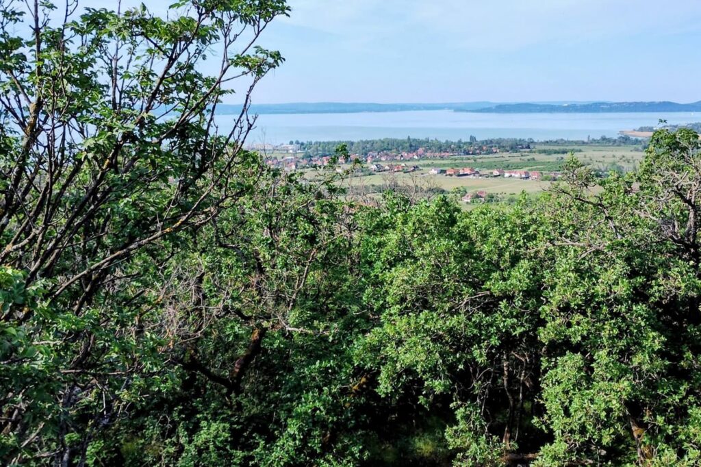 Balatoni panoráma vörös kőalapzatról: a Somlyó-hegyi kilátó Alsóörsön