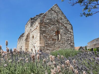Dörgicse templomromjai: Árpád-kori falak a Balaton-felvidék dombjai között