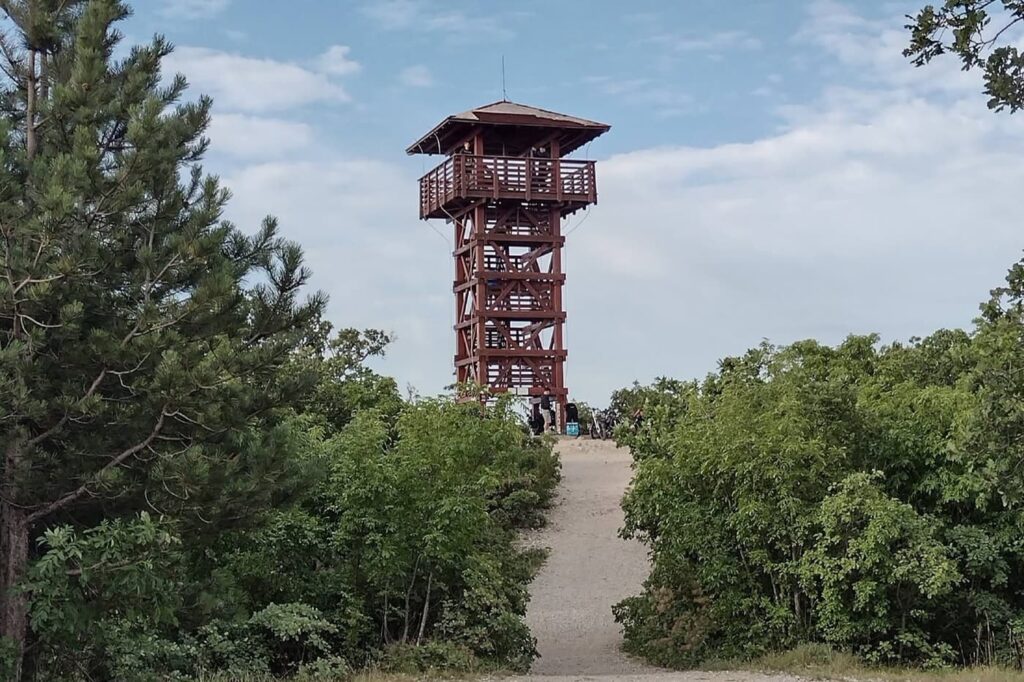 A Pap-hegy kilátója: ilyen panoráma nyílik a Batsányi-kilátóból