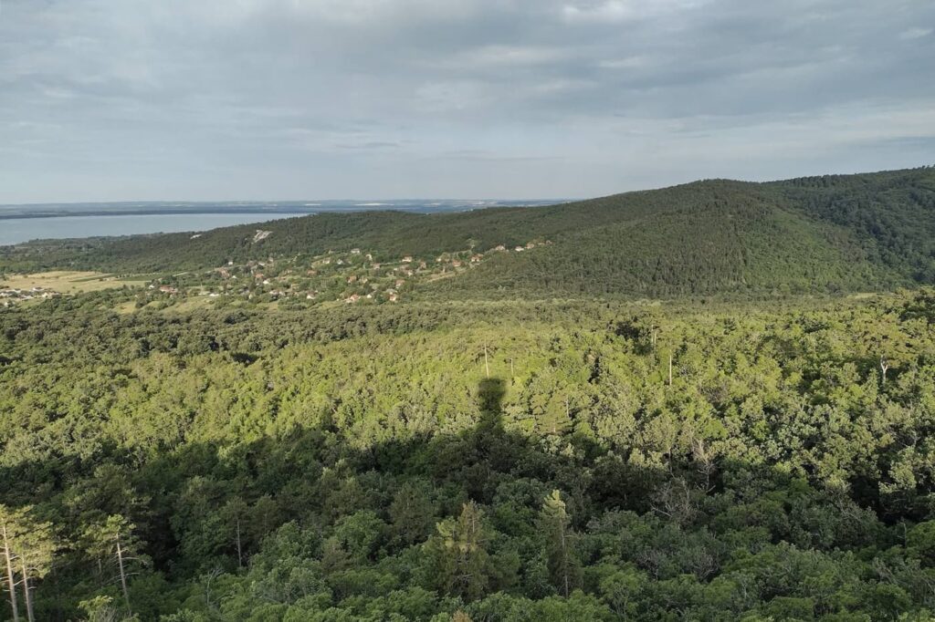 A Pap-hegy kilátója: ilyen panoráma nyílik a Batsányi-kilátóból
