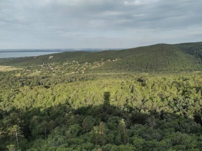 A Pap-hegy kilátója: ilyen panoráma nyílik a Batsányi-kilátóból