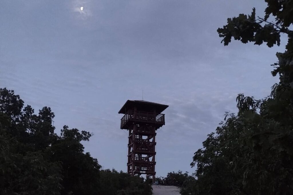 A Pap-hegy kilátója: ilyen panoráma nyílik a Batsányi-kilátóból