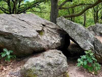 10 millió éves történetet őriz a Szentbékkállai Kőtenger