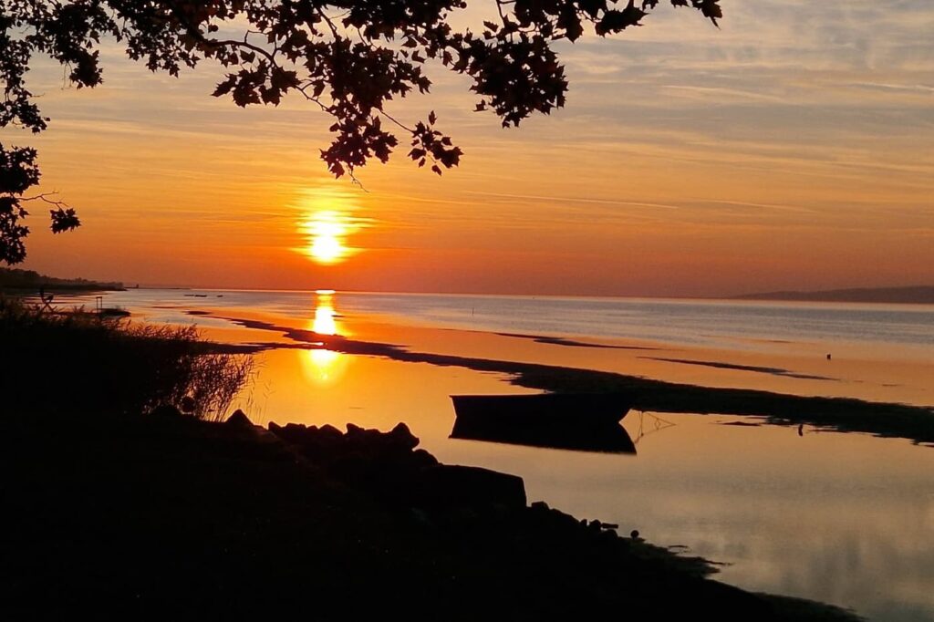Őszi színekben pompázik Balatonboglár mintegy százéves platánfasora
