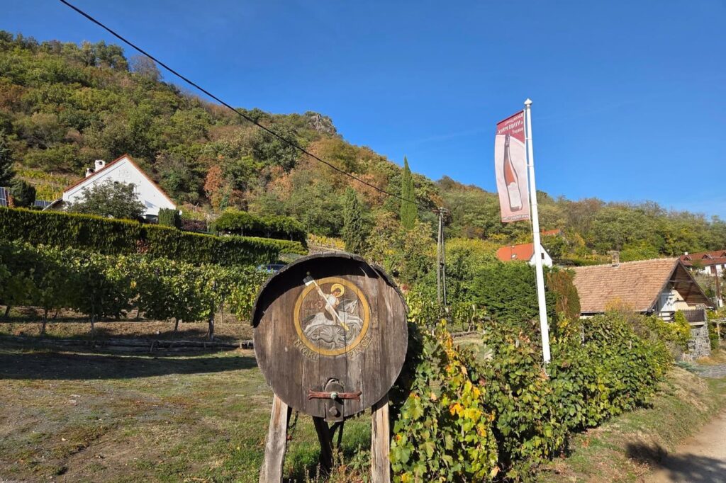 Szent György-hegy – Bazaltorgonák, barokk kápolna és szőlőhegyi panoráma