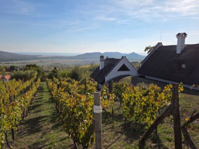 Szent György-hegy – Bazaltorgonák, barokk kápolna és szőlőhegyi panoráma