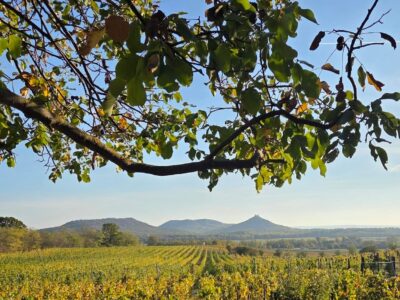 Szent György-hegy – Bazaltorgonák, barokk kápolna és szőlőhegyi panoráma